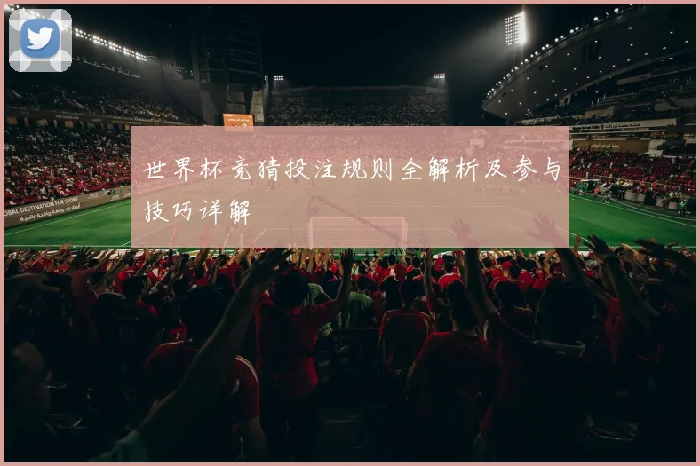 世界杯竞猜投注规则全解析及参与技巧详解