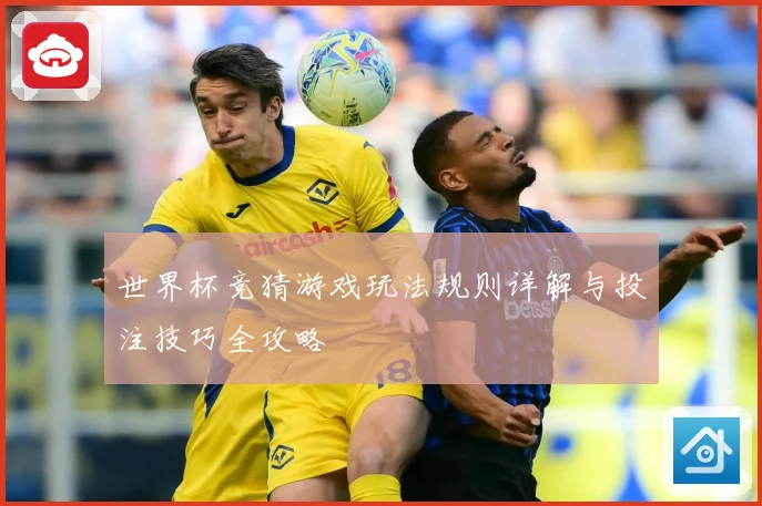 世界杯竞猜游戏玩法规则详解与投注技巧全攻略