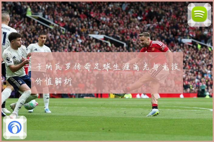 卡纳瓦罗传奇足球生涯高光与竞技价值解析