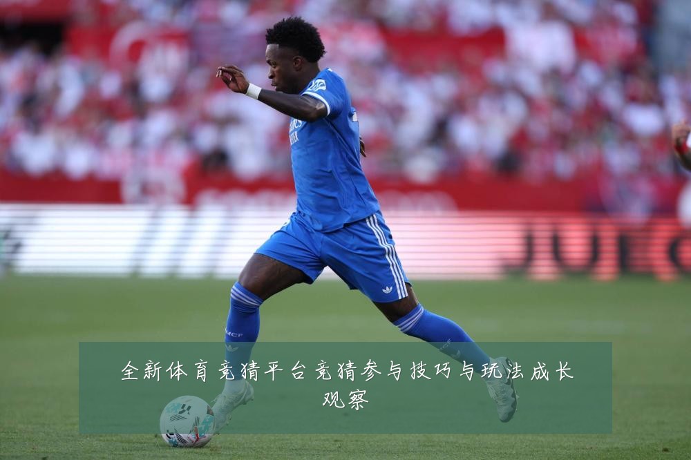全新体育竞猜平台竞猜参与技巧与玩法成长观察