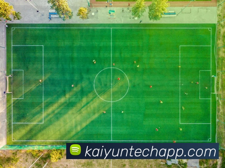 开云平台展示图