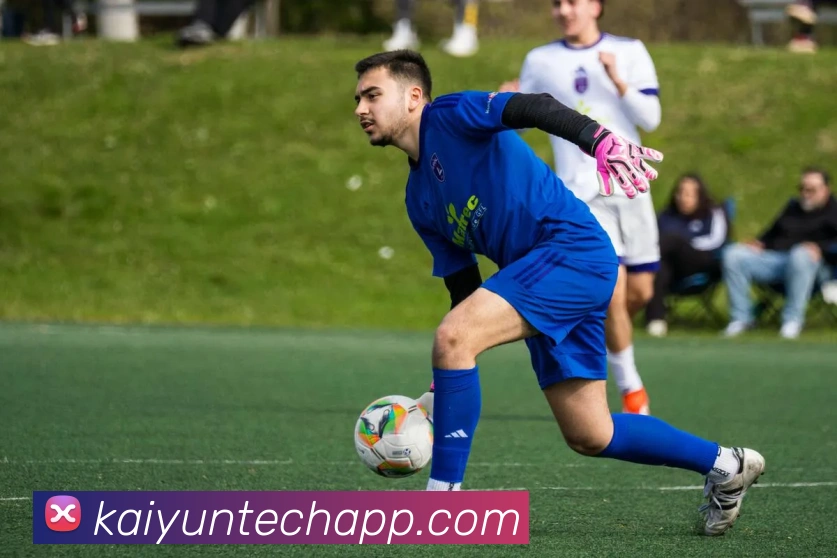 开云平台助力数字化转型打造全球领先的创新生态系统